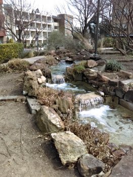 baccus park
